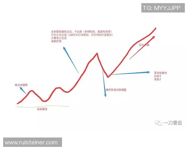 杭州羽毛球队与武汉羽毛球队赛后复盘分析比赛节奏与战术对比