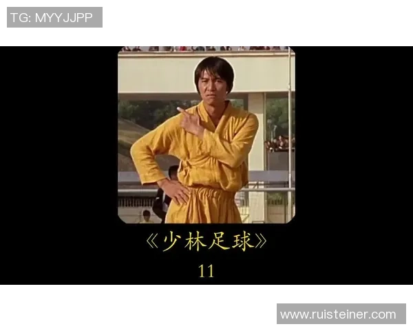 看少林足球的足球明星们如何在绿茵场上展现独特魅力与幽默风采