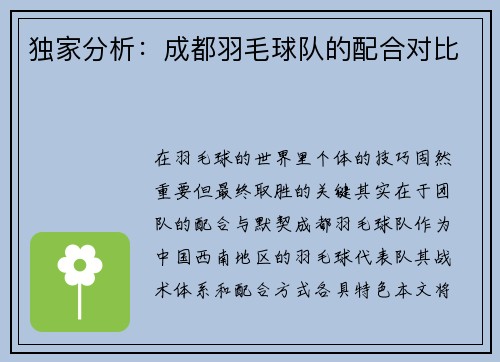 独家分析：成都羽毛球队的配合对比