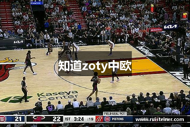 知道zoty中欧